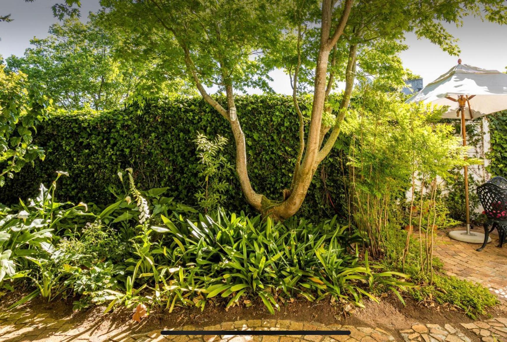 Guest Suite - Leafy Constantia Guest House เคปทาวน์ ภายนอก รูปภาพ